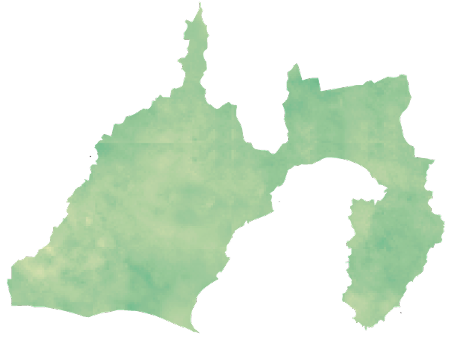 静岡地域密着9年目